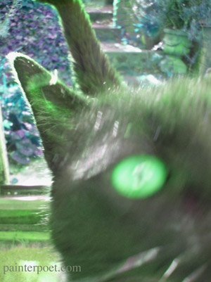 a child and a dog sitting on the floor by the back steps looking at the damp garden.
