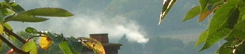 smoke from a bonfire seen through trees
